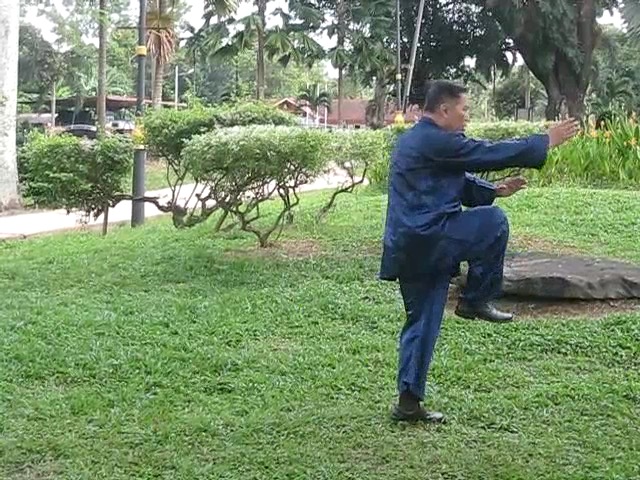 Wu Yu Xiang Style Taijiquan